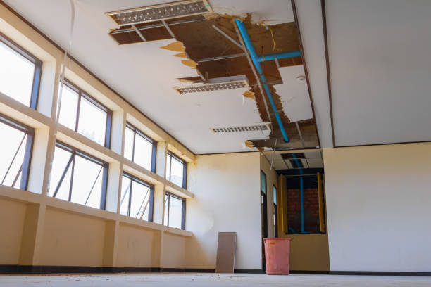Trusted Canton, MO Water damage restoration Experts