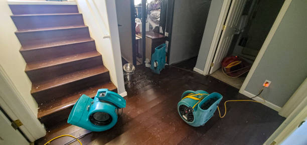  Canton, MO Water damage restoration Pros