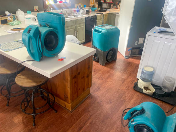 Best Water damage restoration insurance claims  in Canton, MO