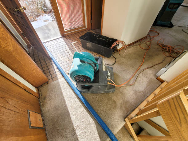 Best Fire Damage Restoration  in Canton, MO