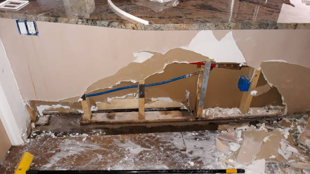 Best Sewage cleanup and water damage restoration  in Canton, MO