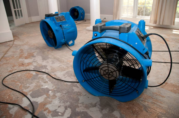 Best Commercial water damage restoration  in Canton, MO