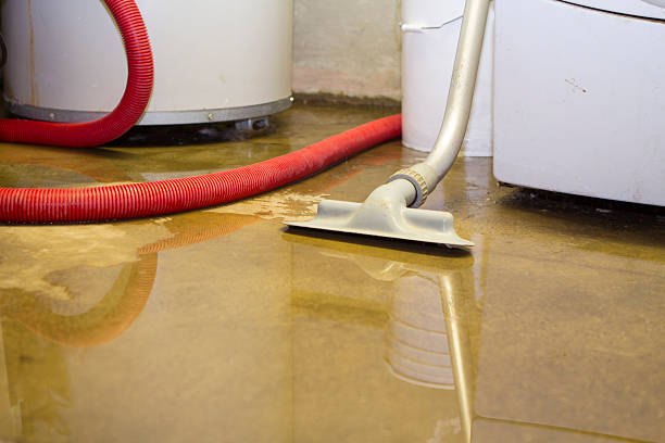 Best Carpet water damage restoration  in Canton, MO