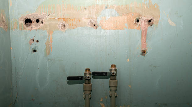 Best Carpet water damage restoration  in Canton, MO