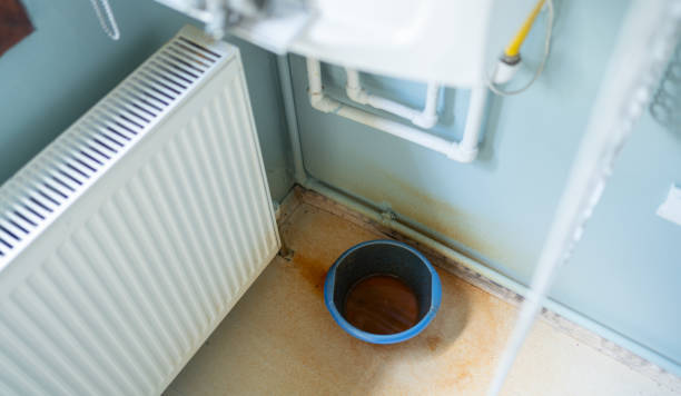 Best Water damage restoration cost  in Canton, MO
