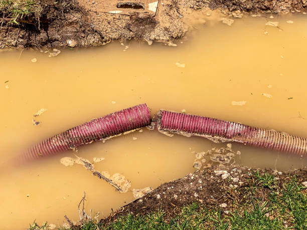 Best 24-hour water damage restoration  in Canton, MO