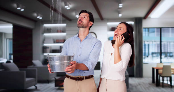 Best Professional water damage repair  in Canton, MO